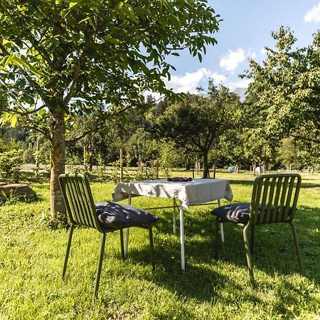 Iselhof Apartment Лиенц Екстериор снимка